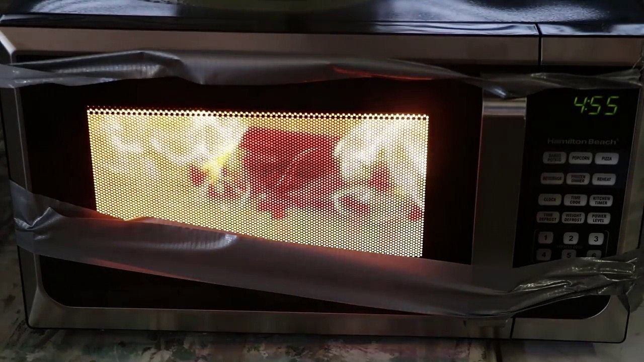 I Microwaved A Grenade And This Happened