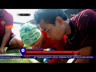 Komunitas Diving Puri Berau Ikut Menjaga Ekosistem Bawah Laut-NET5