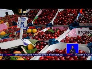Panen Raya Ceri Laurel Di turki-NET12