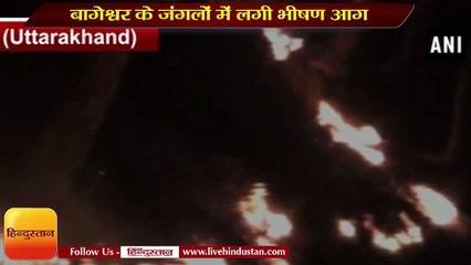 बागेश्वर के जंगलों में लगी भीषण आग