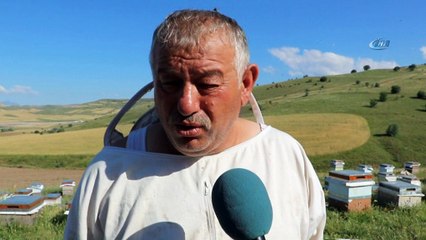 'Uzun süren yağışlar balda rekolteyi düşürebilir'