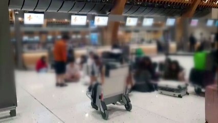 세부 오가는 팬퍼시픽항공 잇단 운항 지연 / YTN