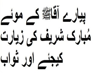 پیارے آقاﷺ کے موئے مُبارک شریف کی زیارت کیجئے اور ثواب  کی نیت سے شیئر کردیجیے۔