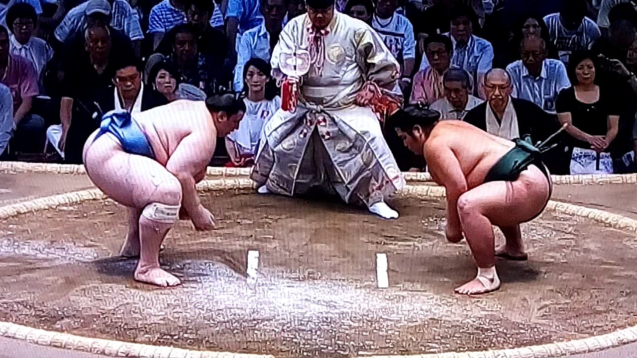 碧山 vs 錦木 2018年大相撲名古屋場所初日 20180708