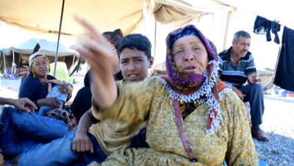 Kayısı hasadın çalışan mevsimlik işçilerin çilesi