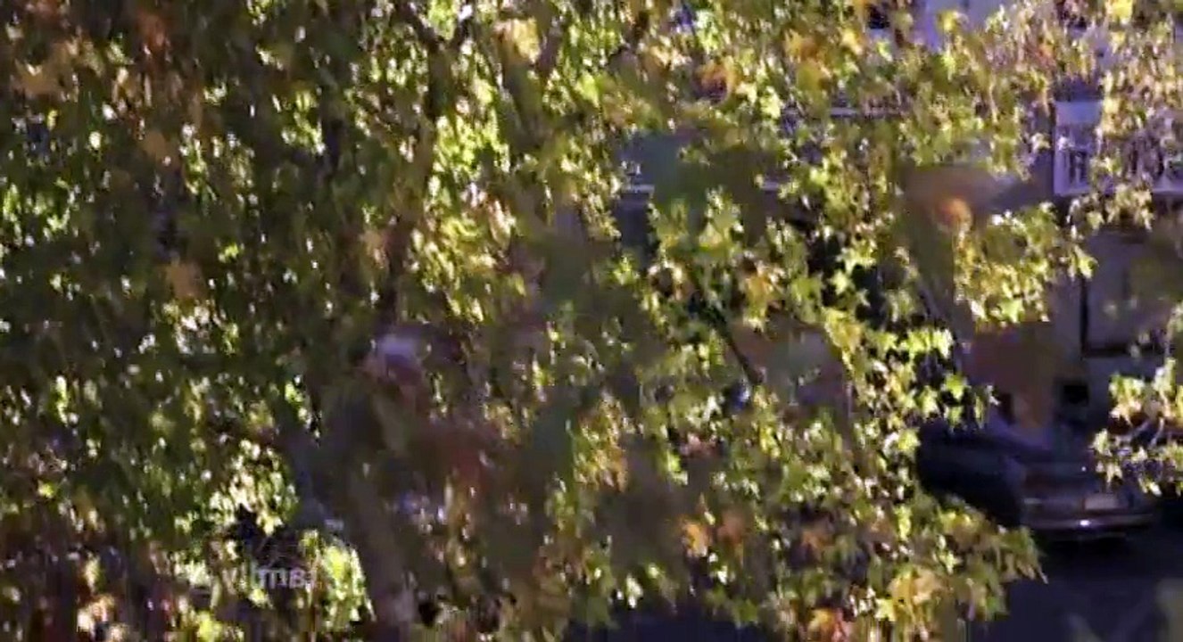 Championnes a tout pri  S2E17 FRENCH   Part 01