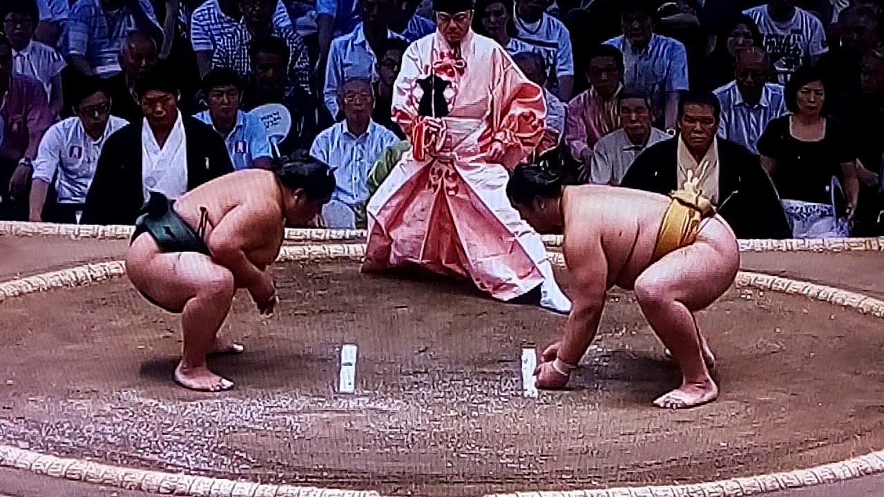 大翔丸 vs 輝 2018年大相撲名古屋場所初日 20180708