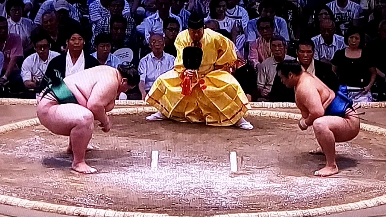 逸ノ城 vs 千代の国 2018年大相撲名古屋場所初日 20180708