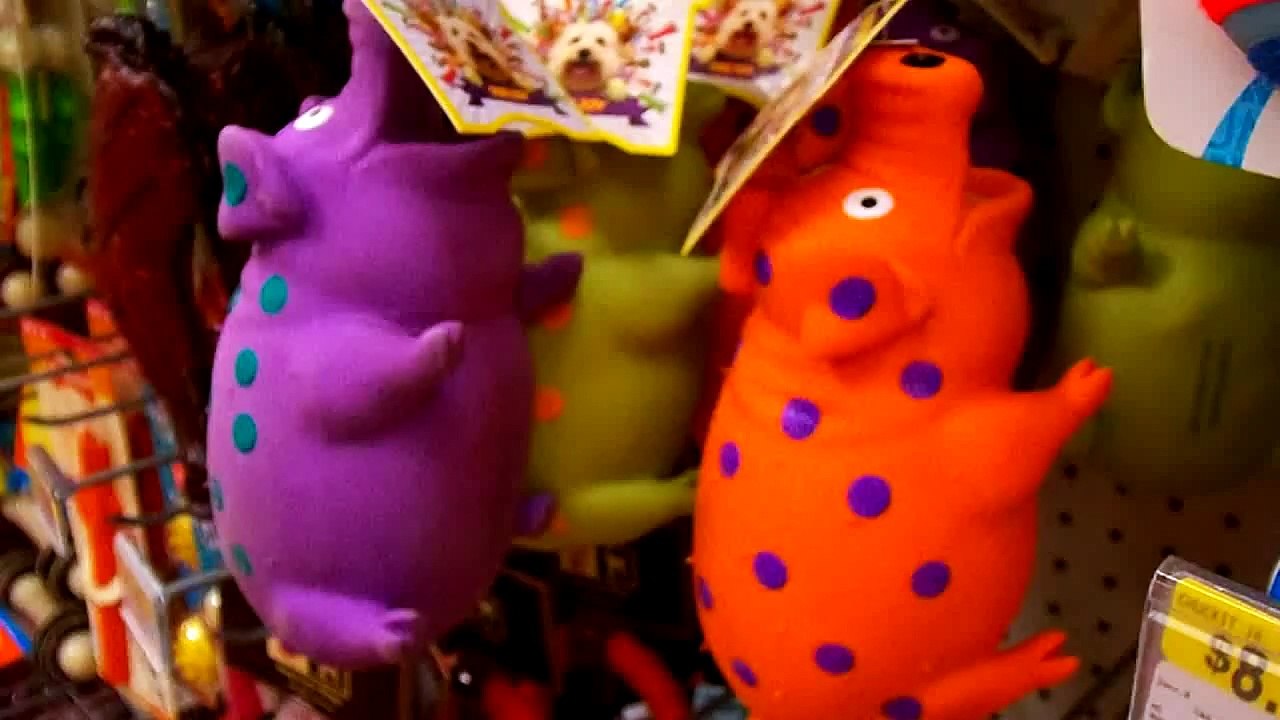 Squeeze pig - Dog toy