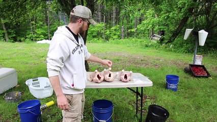 Chicken Storage? Poultry Bags