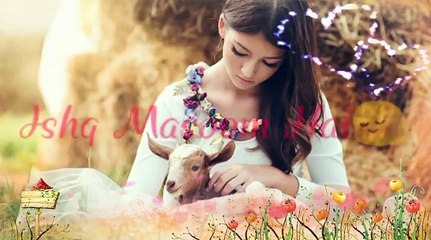 Hum Ko Maaloom Hain  Most Romantic WhatsApp Status Video