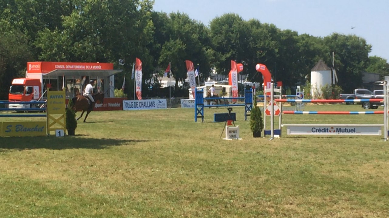 Les cavaliers et les chevaux à l’honneur