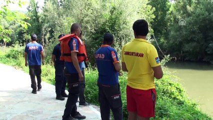 Irmağa giren yunus için kurtarma çalışması - BARTIN