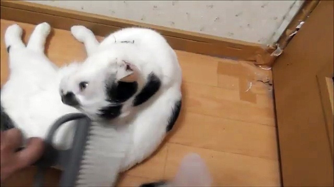 タレを塗る作業をしていたら肉塊が自動で回転してきたww