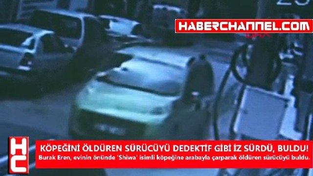 KÖPEĞİNİ ÖLDÜREN SÜRÜCÜYÜ DEDEKTİF GİBİ İZ SÜRDÜ, BULDU!