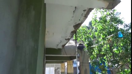 Yarasalar Evleri İstila Etti