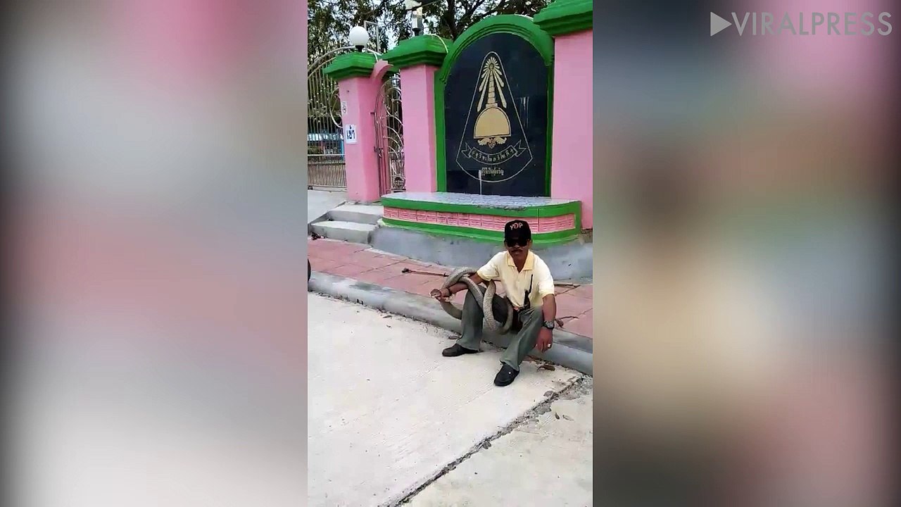 Snake Caught Outside School