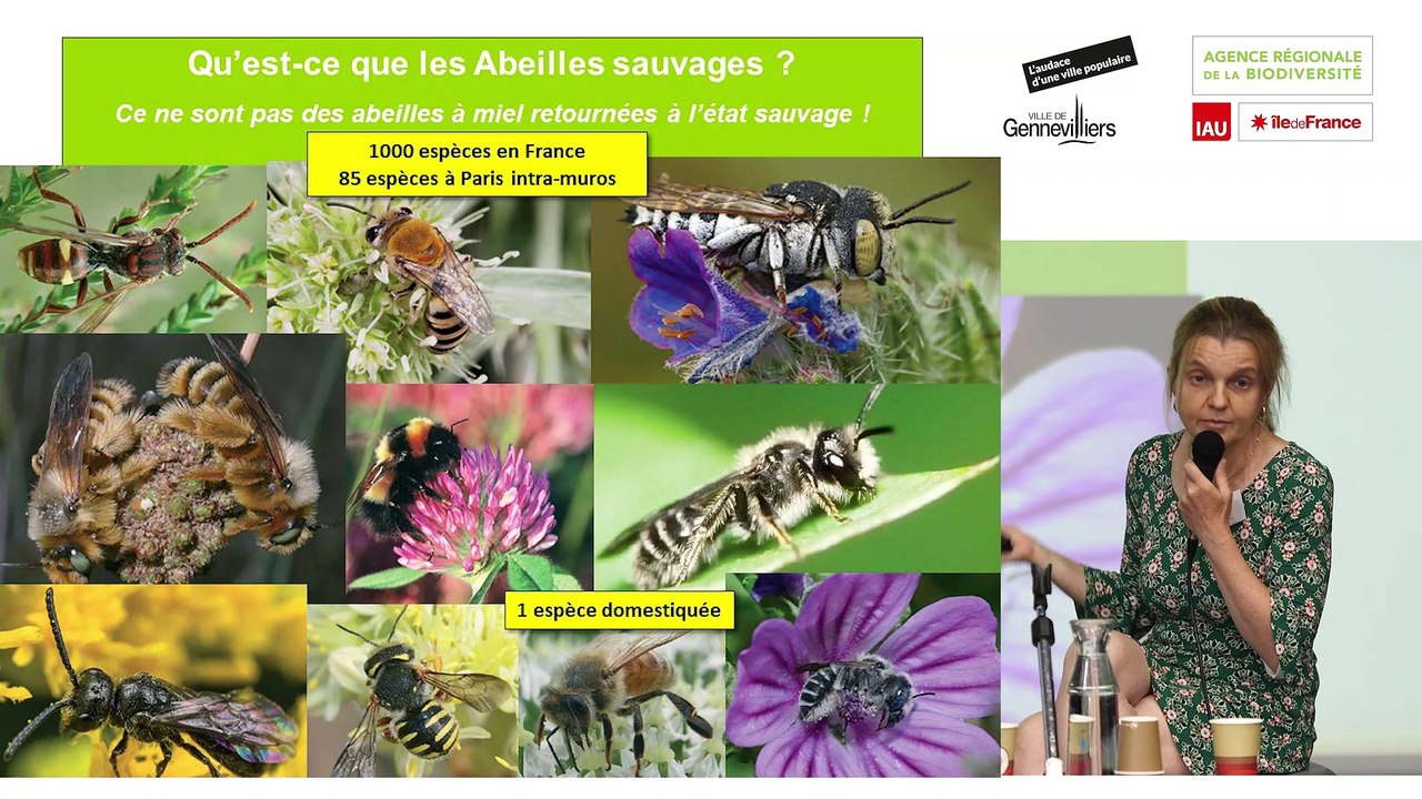 Table ronde "Pratiques culturales de l'agriculture urbaine et impact sur la biodiversité : le cas de l'apiculture en ville et des relations avec les pollinisateurs sauvages"