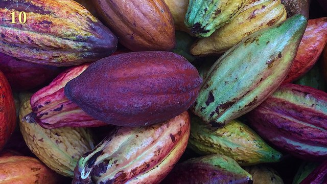 BUSTED!! Myths YOU Should Stop Believing Right Now