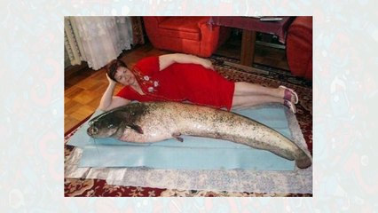 Gören gerçek olduğuna inanmadı ama ...