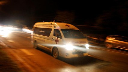 Provinzgouverneur: "Nach 16 Tagen sind die Wildschweine wieder da"