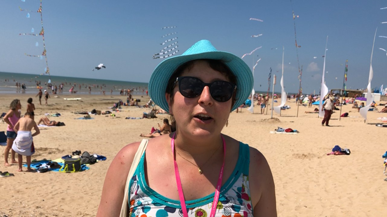 Comment différencier les cerfs-volants ?