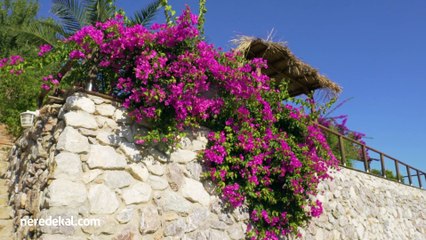 Sound Of Silence Suite