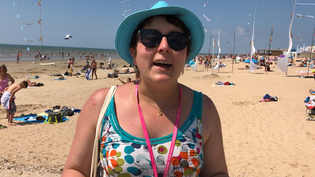 Y a t-il différents types de cerf-volant ?