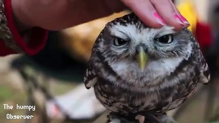 Simply Marvelous! ✨