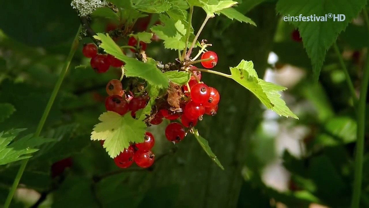 Trügerisches Paradies