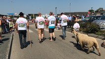 Les éleveurs portent des tee-shirts floqués d’un « Stop aux vols de moutons »