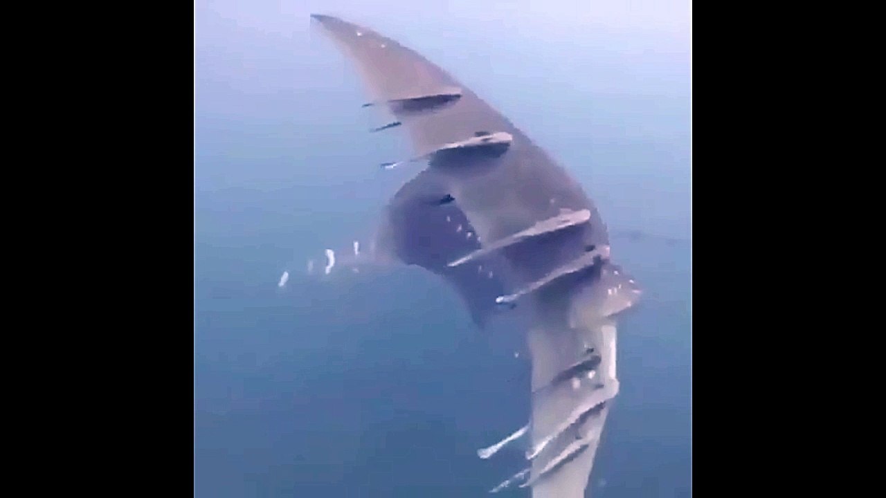 This monster fish is Remora