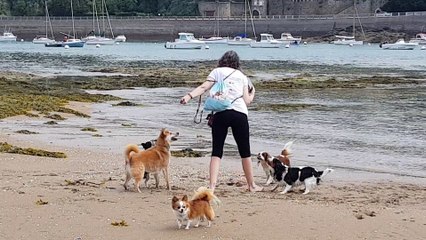 Les poilus à la plage le 30 juin 18