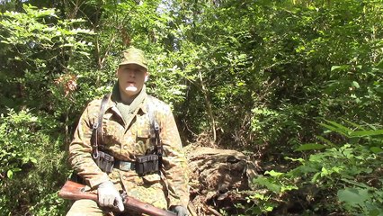 German WWII 44 Dot Camouflage Effectiveness