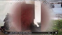[별별영상] 앵무새에게 '숨기 마술'…안절부절