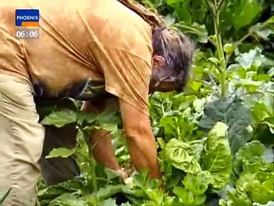 Der mit den Pflanzen spricht 3 3