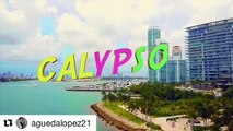 Oyeeee. Esto lo tenían bajo la manga!! Me encanto#Repost  guedalopez21・・・Oye  uisfonsi! Ya me aprendí el baile de #Calypso. Y ustedes? Ya se lo saben?Gr