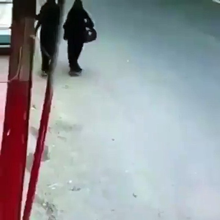 Beg Theft Drop Women