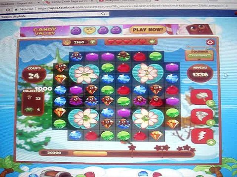 Pirate Treasure-Level 1336