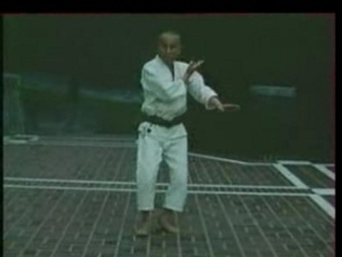 Wado ryu - kata pinan shodan - hironori ohtsuka