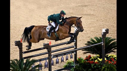 Hanoverian horse - Video Learning - WizScience.com