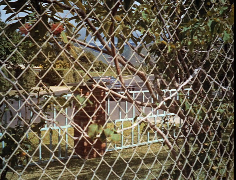 S02E12 - Der Teufel und der Frosch