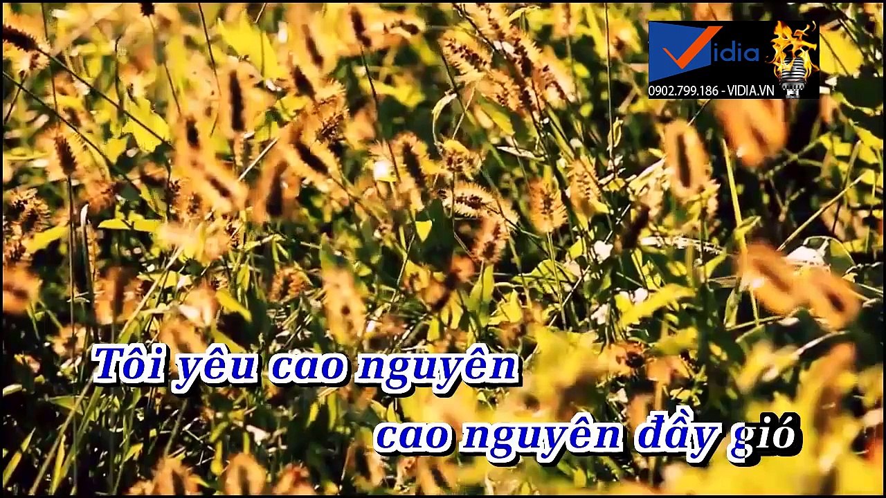 Chiếc Vòng Cầu Hôn - Ngọc Sơn