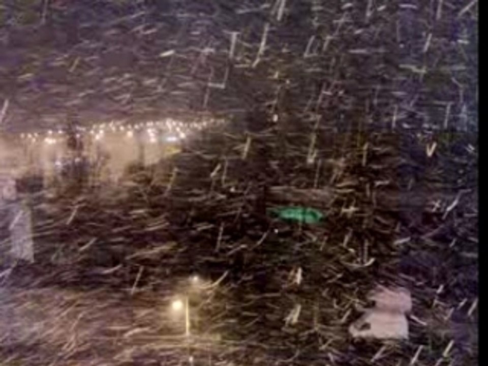 Ninge