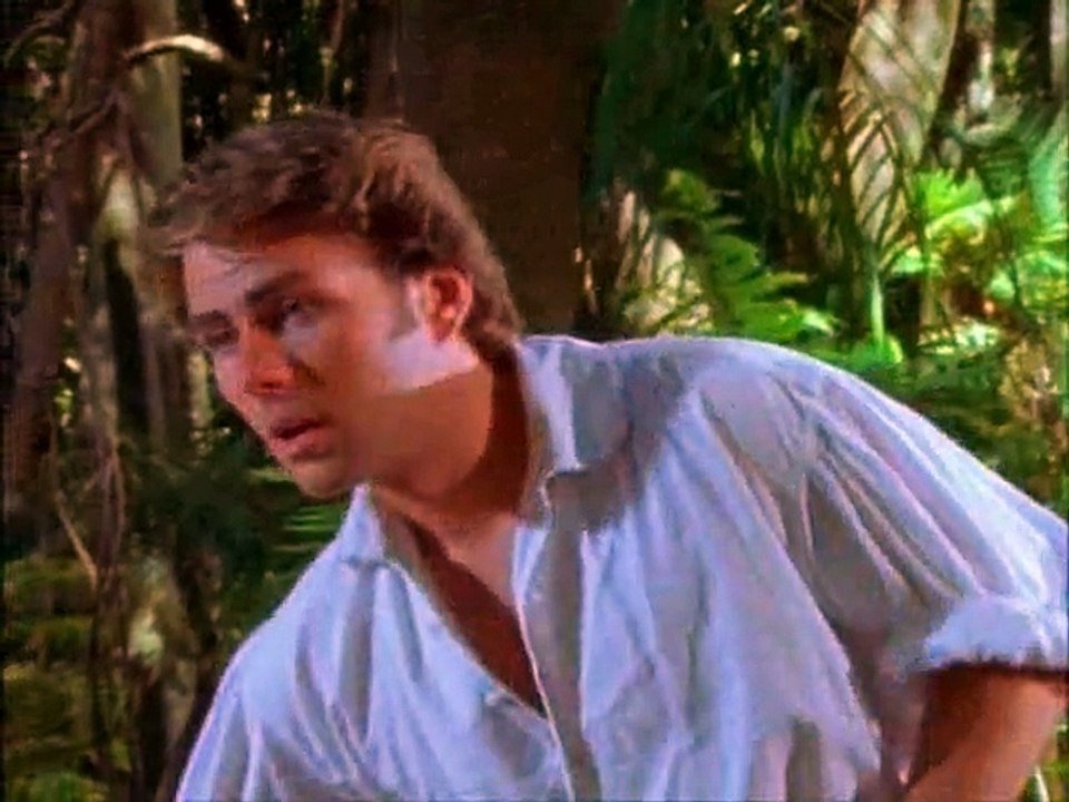 adventures of swiss robinson family ( 1998 ) E 19