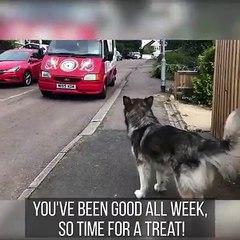 Making it to Wednesday is close enough, right?! How are you going to treat yourself today? #NationalIceCreamMonth #WoofWednesdayMake sure your pup's treats ar