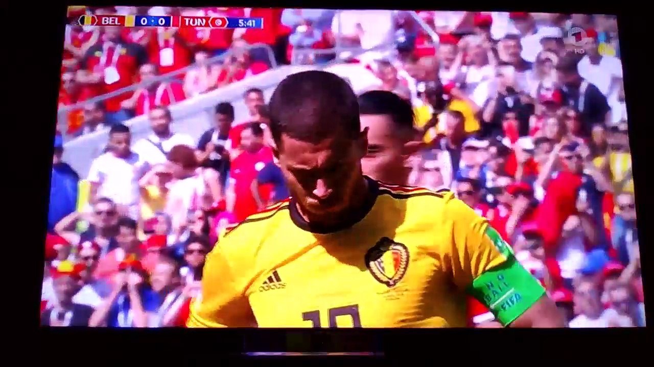 belgien gegen tunesien