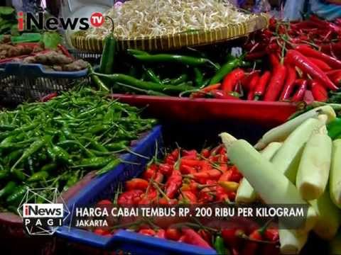 Harga cabai tembus Rp. 200 Ribu per kilogram - iNews Pagi 09/02