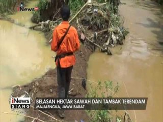 Belasan hektar sawah dan tambak terendam, Warga merugi hingga Miliaran Rupiah - iNews Siang 18/02
