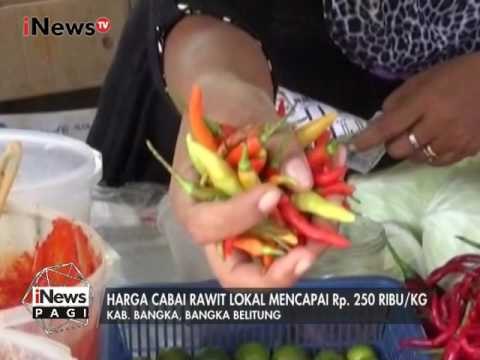 Dampak Cuaca Buruk, Harga Cabai Lokal Melonjak - iNews Pagi 21/02